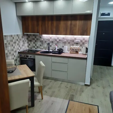Nati Appartement Banja Koviljača